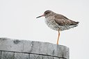 BUITEN BEELD Foto: 184099