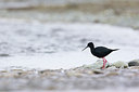 BUITEN BEELD Foto: 184124