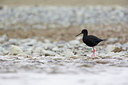 BUITEN BEELD Foto: 184127