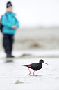 BUITEN BEELD Foto: 184130