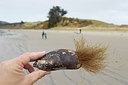 BUITEN BEELD Foto: 184167
