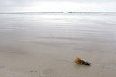 BUITEN BEELD Foto: 184176