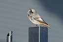 BUITEN BEELD Foto: 184180