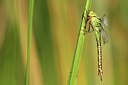 BUITEN BEELD Foto: 184347