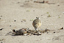 BUITEN BEELD Foto: 184351