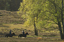 BUITEN BEELD Foto: 184408