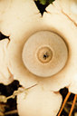 BUITEN BEELD Foto: 184410