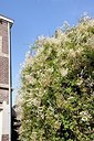 BUITEN BEELD Foto: 184487