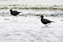 BUITEN BEELD Foto: 184586