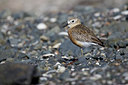 BUITEN BEELD Foto: 184589