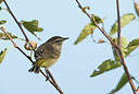 BUITEN BEELD Foto: 184609