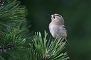 BUITEN BEELD Foto: 184825