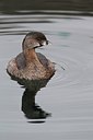 BUITEN BEELD Foto: 184854