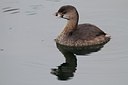 BUITEN BEELD Foto: 184855
