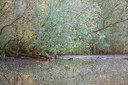 BUITEN BEELD Foto: 185065