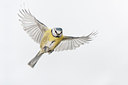 BUITEN BEELD Foto: 185160