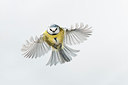 BUITEN BEELD Foto: 185167