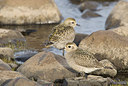 BUITEN BEELD Foto: 185190