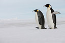 BUITEN BEELD Foto: 185205