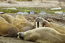BUITEN BEELD Foto: 185264