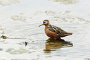 BUITEN BEELD Foto: 185273