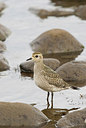 BUITEN BEELD Foto: 185288