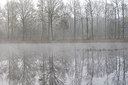 BUITEN BEELD Foto: 185591