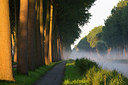 BUITEN BEELD Foto: 185597