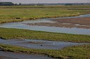 BUITEN BEELD Foto: 185599