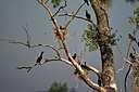 BUITEN BEELD Foto: 185642