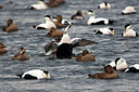 BUITEN BEELD Foto: 185643