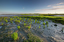 BUITEN BEELD Foto: 185691