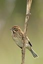 BUITEN BEELD Foto: 185954