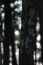 BUITEN BEELD Foto: 186022