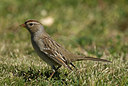 BUITEN BEELD Foto: 186056