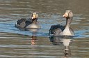 BUITEN BEELD Foto: 186087