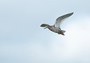 BUITEN BEELD Foto: 186299