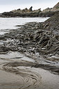 BUITEN BEELD Foto: 186370