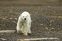 BUITEN BEELD Foto: 186403