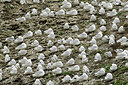 BUITEN BEELD Foto: 186428