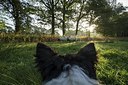 BUITEN BEELD Foto: 186539