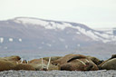 BUITEN BEELD Foto: 186562