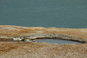 BUITEN BEELD Foto: 186575