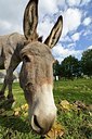 BUITEN BEELD Foto: 186588