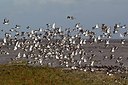 BUITEN BEELD Foto: 186669