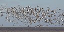BUITEN BEELD Foto: 186670