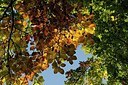 BUITEN BEELD Foto: 186692