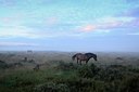 BUITEN BEELD Foto: 186727
