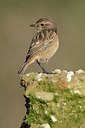 BUITEN BEELD Foto: 186741