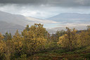 BUITEN BEELD Foto: 186818